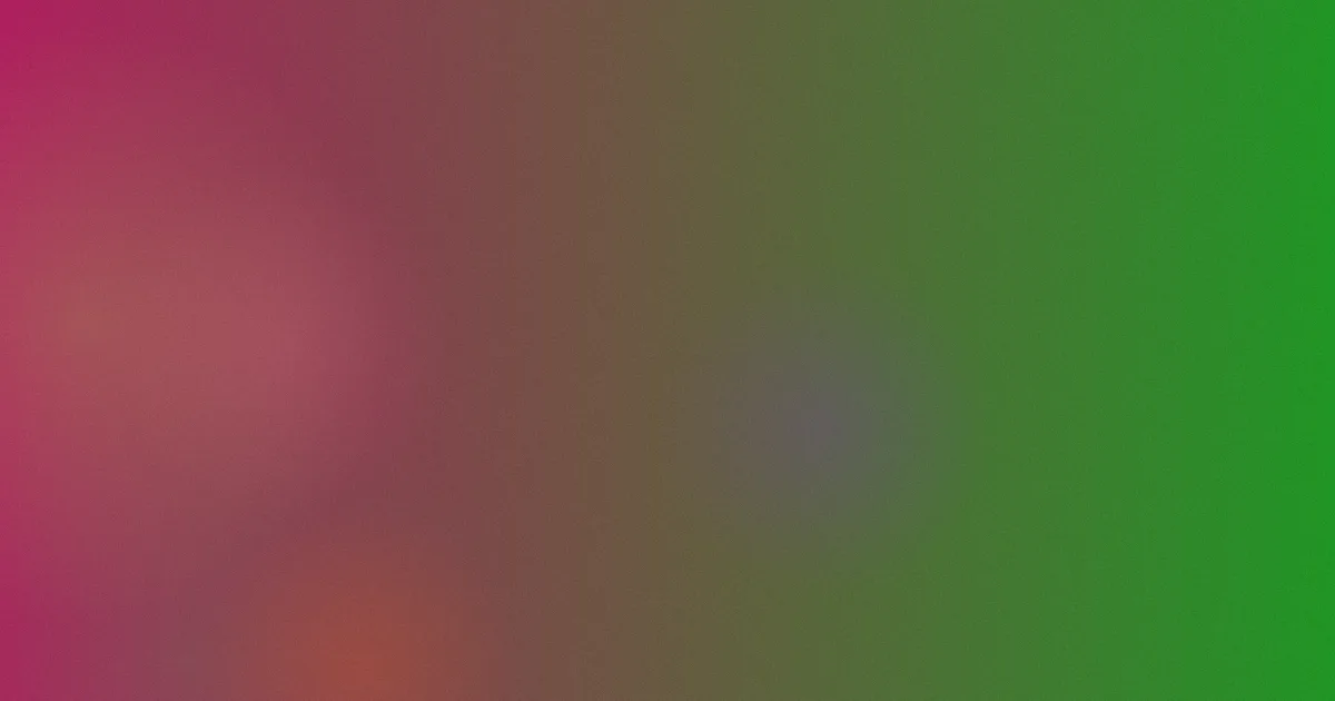 黑吃黑第四季在线观看攻略